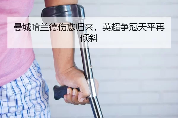 man-cheng-ha-lan-de-shang-yu-gui-lai-ying-chao-zheng-guan-tian-ping-zai-qing-xie-3-941.jpg
