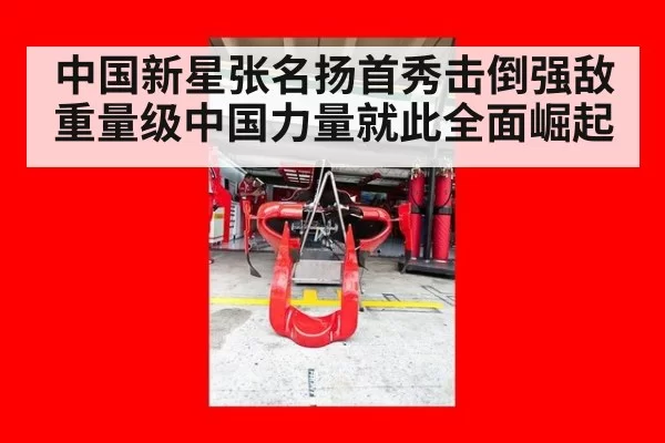 中国新星张名扬首秀击倒强敌 重量级中国力量就此全面崛起