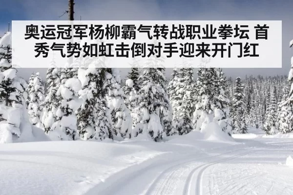 奥运冠军杨柳霸气转战职业拳坛 首秀气势如虹击倒对手迎来开门红